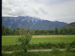 img 1414