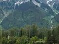 img 1424