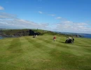 hasanand0349